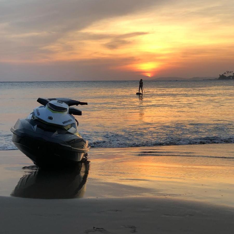 Monkey Beach ديكويلاّ تين المظهر الخارجي الصورة